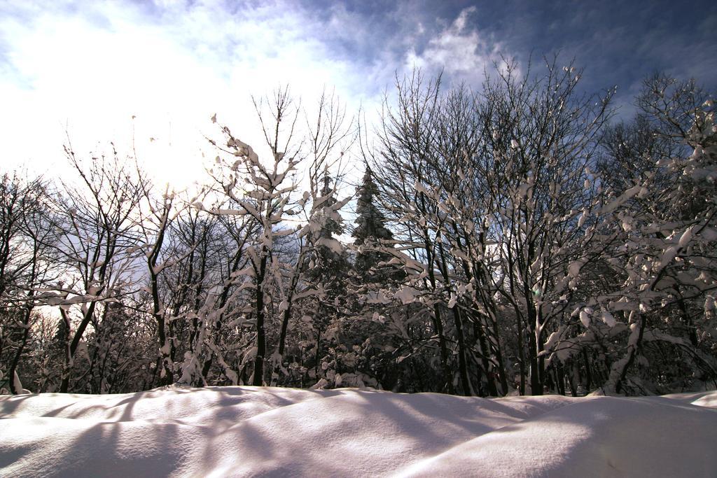 Pension Zueschener Bauernstuben Winterberg Ngoại thất bức ảnh
